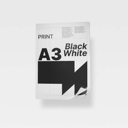 Print A3+ Black White